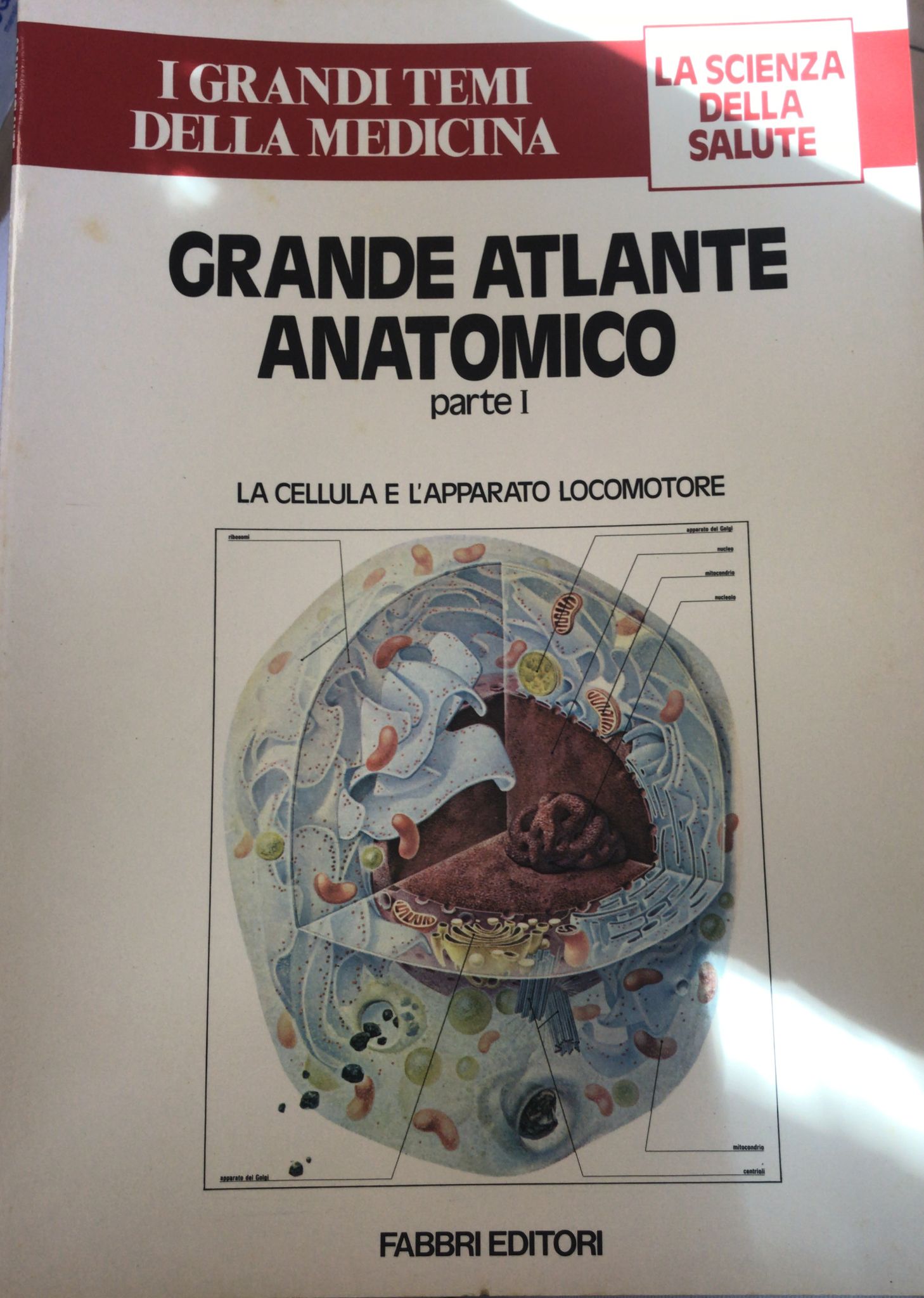 Grande atlante anatomico (parte I)